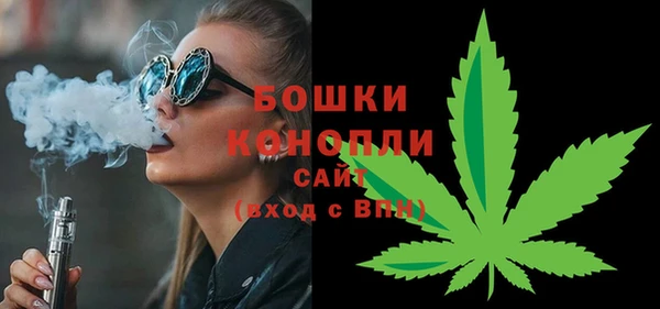 сатива Нязепетровск