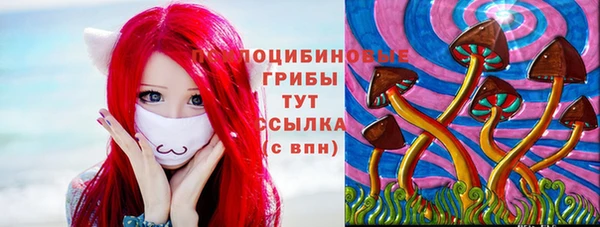 индика Алексеевка