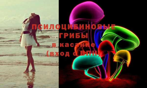 твердый Няндома